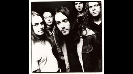 The Dawn - Feel Like Living