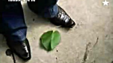 Tarkan - Ayrlk Zor 2005