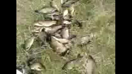 Mov00025