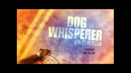 National Geographic Channel - Dog Whisperer 