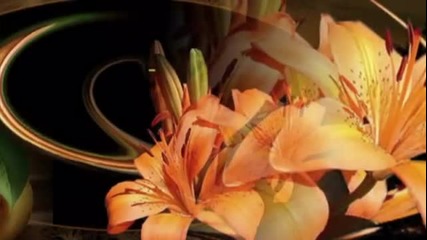 Your Love- Dulce Pontes and Ennio Morricone