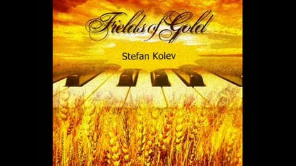 Стефан Колев - Fields Of Gold (акустичен кавър)
