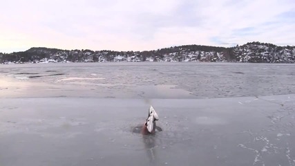 Алкаш На Льду-2 (норвегия) e Toba