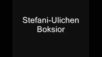 Stefani-ulichen boksior