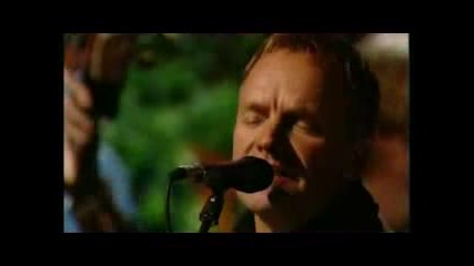 Sting - The Hounds Of Winter