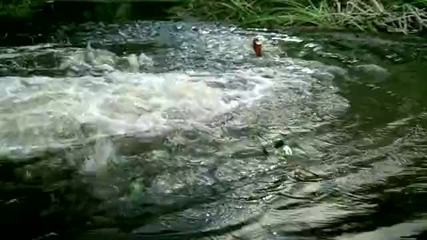 Old Spice в джунглата