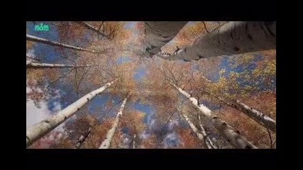 Неповторимите неща - Елеонора Ангелова
