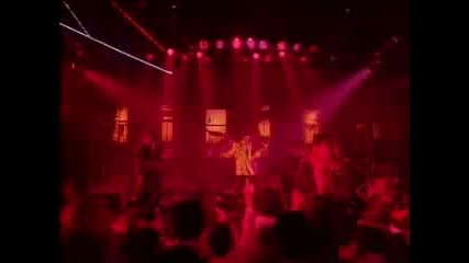 The Time - Jungle Love (dvd rip)