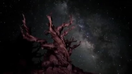 Trip Hill - Fokkerhammer
