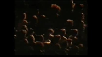 Genesis - The Lady Lies 1978 