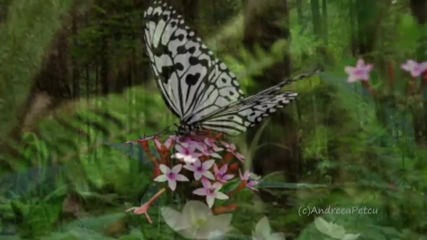 Marc Enfroy - Unconditional Relaxing music 