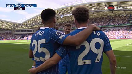Goal by Brighton and Hove Albion