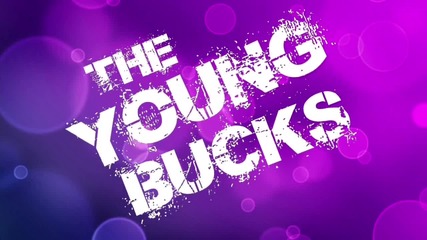 The Young Bucks Custom Titantron 2015