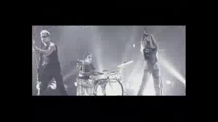 Ima - Vivant