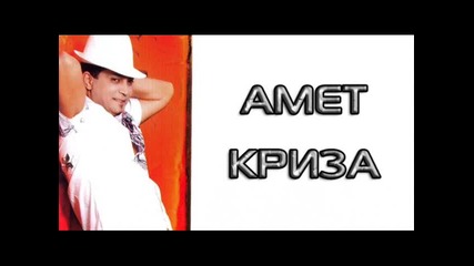amet kriza 2010