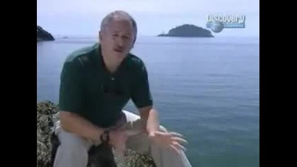 Discovery Channel - Цунами - part 3