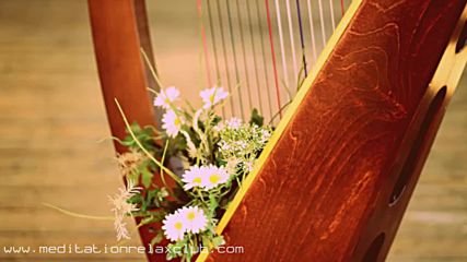 Celtic Treasure 1 Hour Sleep Music of Ireland Celtic Harp Soundscapes