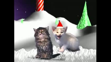 ~невероятно~котки пеят коледна песен!!! 