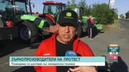 Зърнопроизводители излизат на национален протест