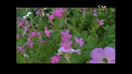 Добринка Стоянова - Що си ме родила мамо