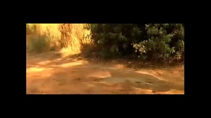 Knoc - Turnal - Muzik (transporter soundtrack)