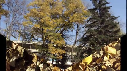 Есен в Пловдив - 2010г