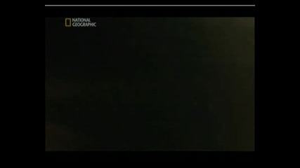 Най - Опасните Животни В Света - Амазония, Част 8.flv