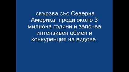 южна америка