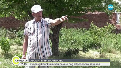 Европейска защита за „Странджанския билков чай”