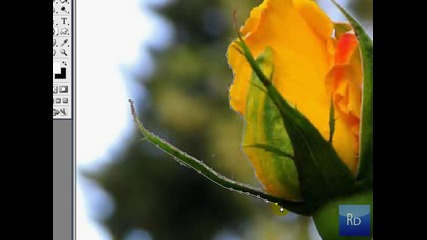 Как да направите хубав Фото - ефект с Фотошоп
