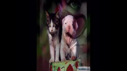 Kлiпchee... ;