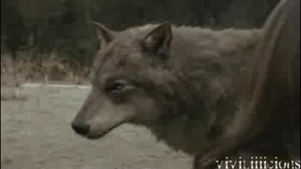 !!eclipse Trailerr!! .. (fanmade) 