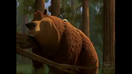 Open Season 