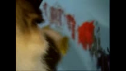Котка Рисува С Боя