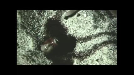 Die Orsons - Soulja Boy Turn my swag on Cover 
