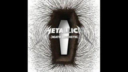 Metallica - The End Of The Line.mpg