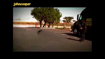 Страхотно Рабавление са Радиоуправляемите Колички