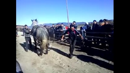 Mov20131222_001