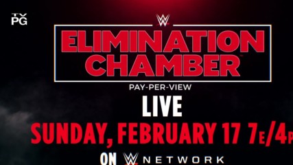 WWE Elimination Chamber (US)