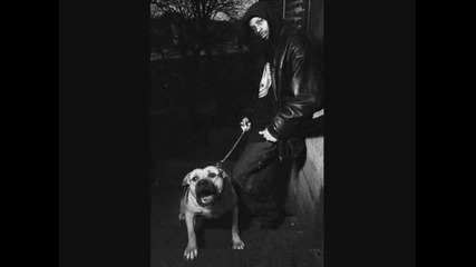 Dmx - Make a Move (album Version)
