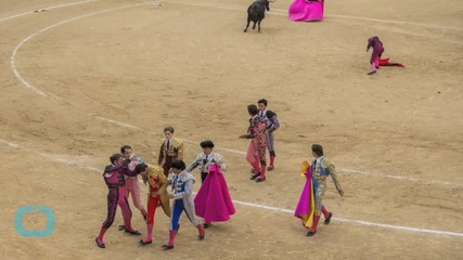 Bullfighting Under Threat From Spain's New Left-Wing Councils