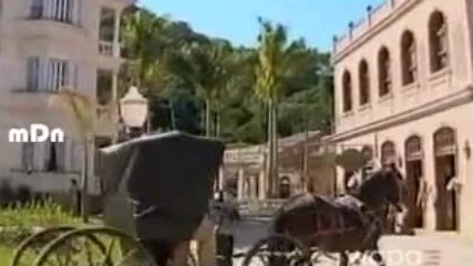 Alma Gemela 12