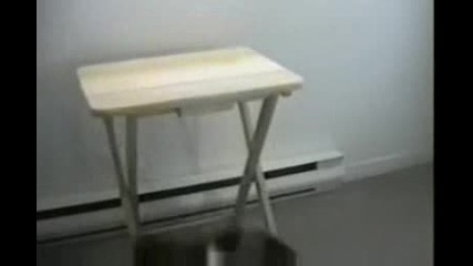 Котка Се Бие Със Снимка