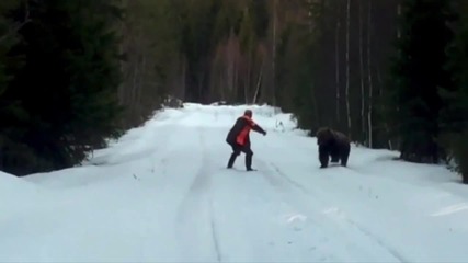 Мъж успява да изплаши голяма кафява мечка