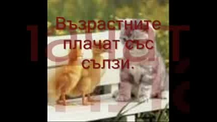 За Смисала На Живота Ishtar