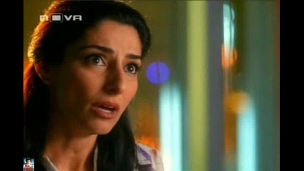 Csi Miami, епизод 18, сезон 07