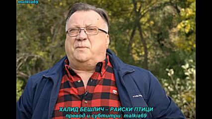 Halid Beslic - Rajske ptice (prevod)