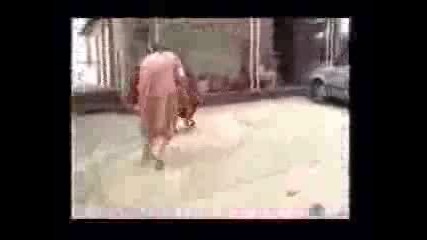 Street Fights - Dog Fights -Pitbull Attack