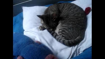 Tom And Jerry