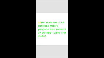 2024-12-06-131958562.mp4